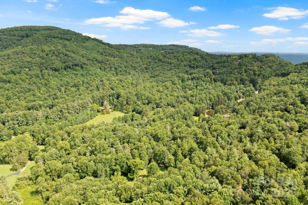 0 S Bobs Creek Road Zirconia, NC 28790