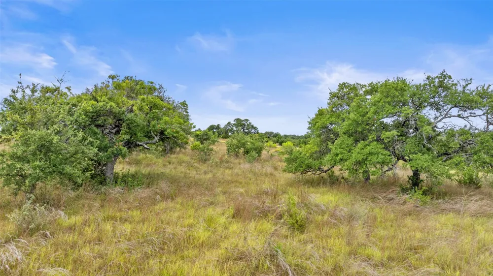 1198 Walnut Springs Road Johnson City, TX 78636