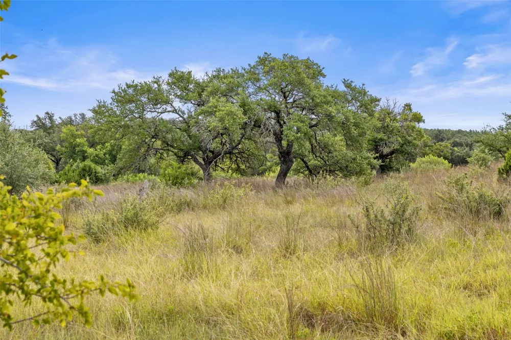 1198 Walnut Springs Road Johnson City, TX 78636