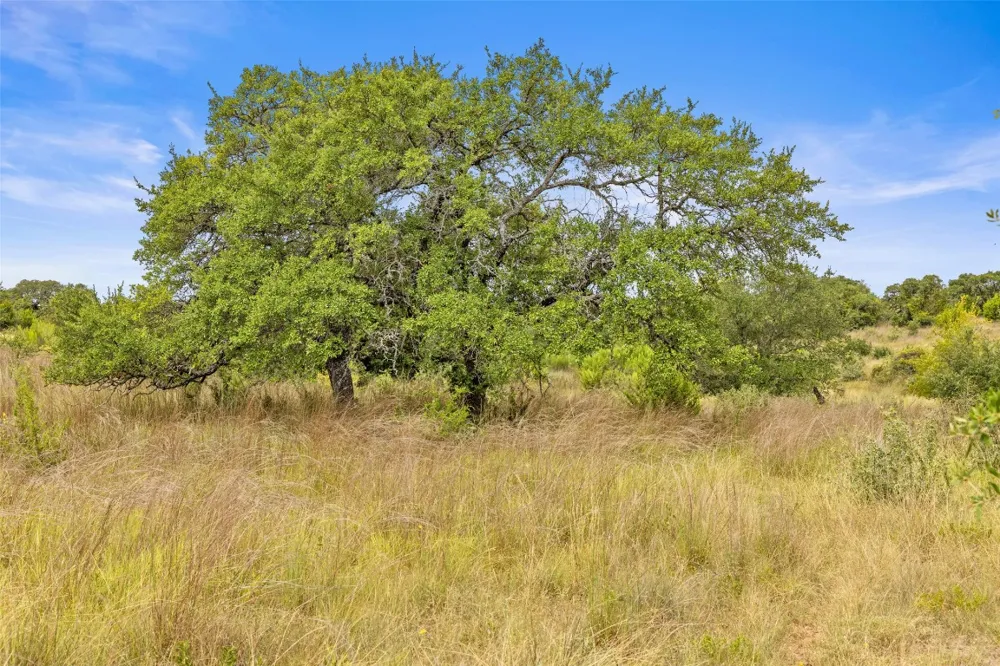 1198 Walnut Springs Road Johnson City, TX 78636