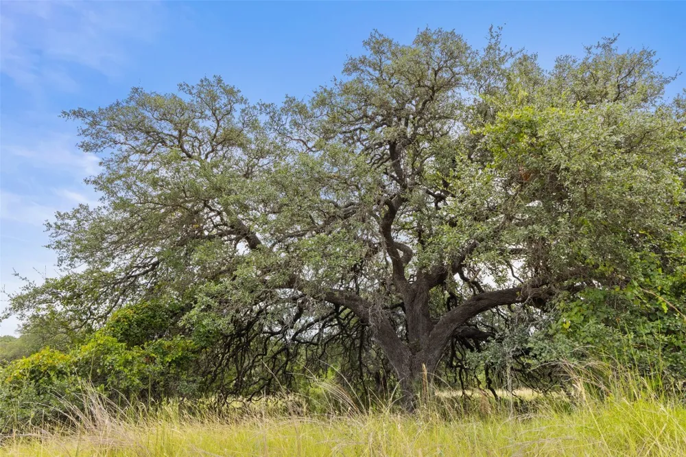 1198 Walnut Springs Road Johnson City, TX 78636