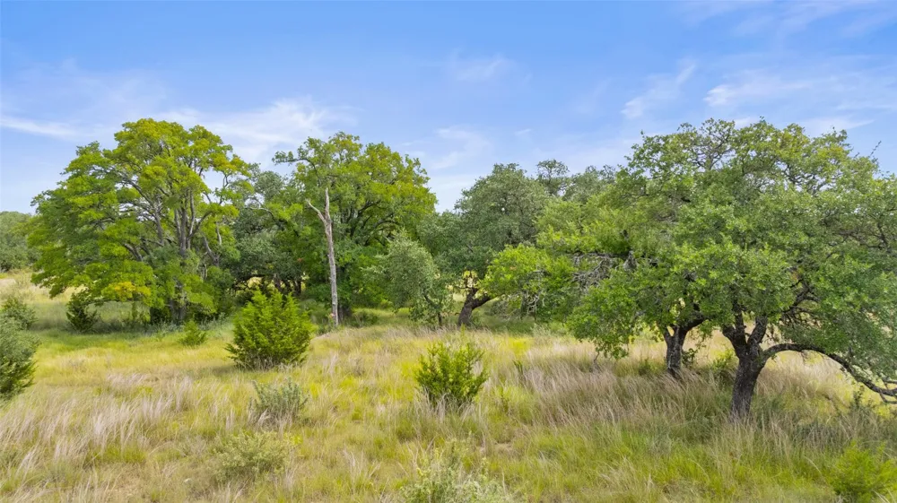 1198 Walnut Springs Road Johnson City, TX 78636