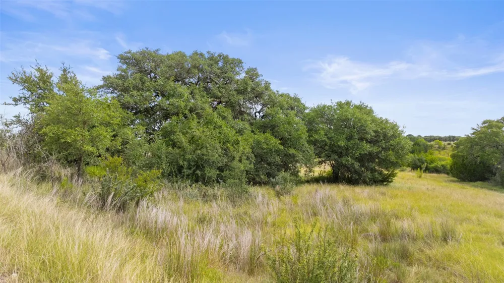 1198 Walnut Springs Road Johnson City, TX 78636