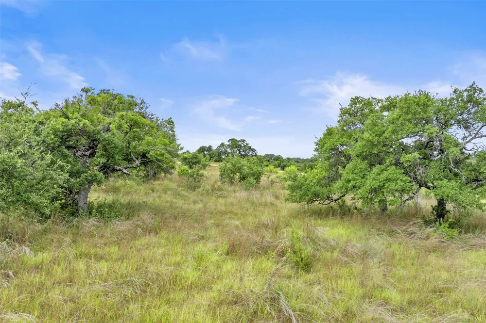 1198 Walnut Springs Road Johnson City, TX 78636