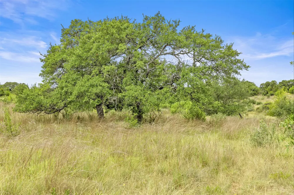 1198 Walnut Springs Road Johnson City, TX 78636