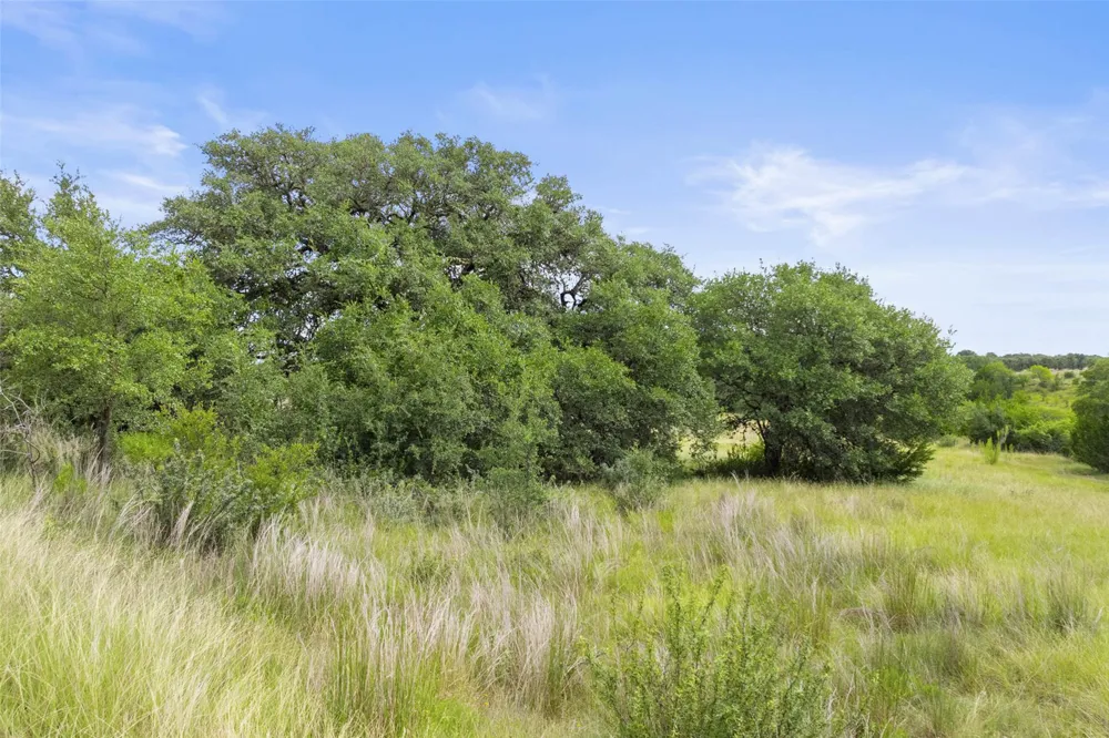 1198 Walnut Springs Road Johnson City, TX 78636