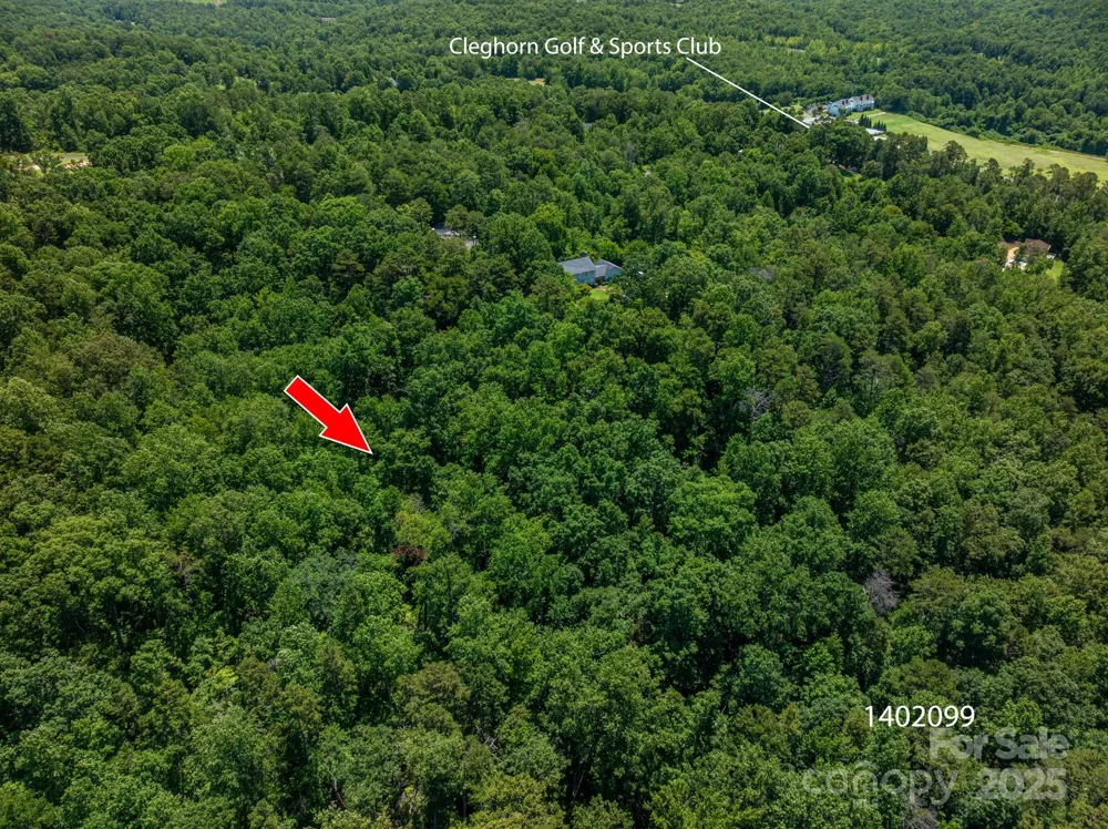 Lot 169 Coxe Road Rutherfordton, NC 28139