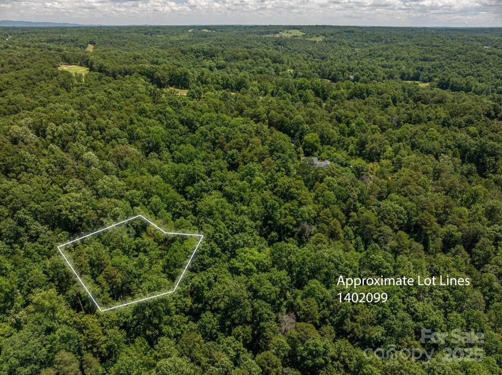 Lot 169 Coxe Road Rutherfordton, NC 28139