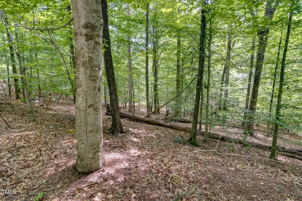 625 Totten Place Chapel Hill, NC 27514