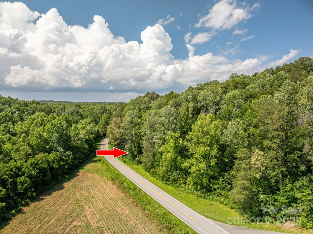 Lot 161 Coxe Road Rutherfordton, NC 28139