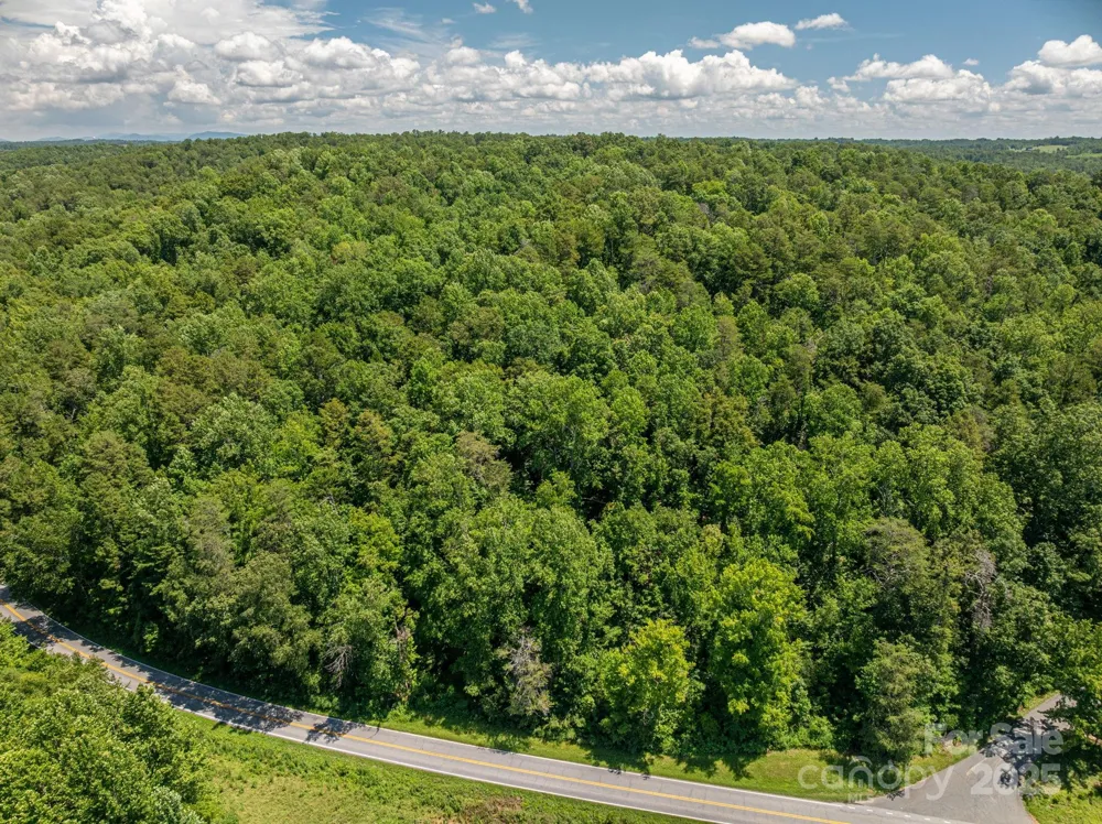 Lot 161 Coxe Road Rutherfordton, NC 28139