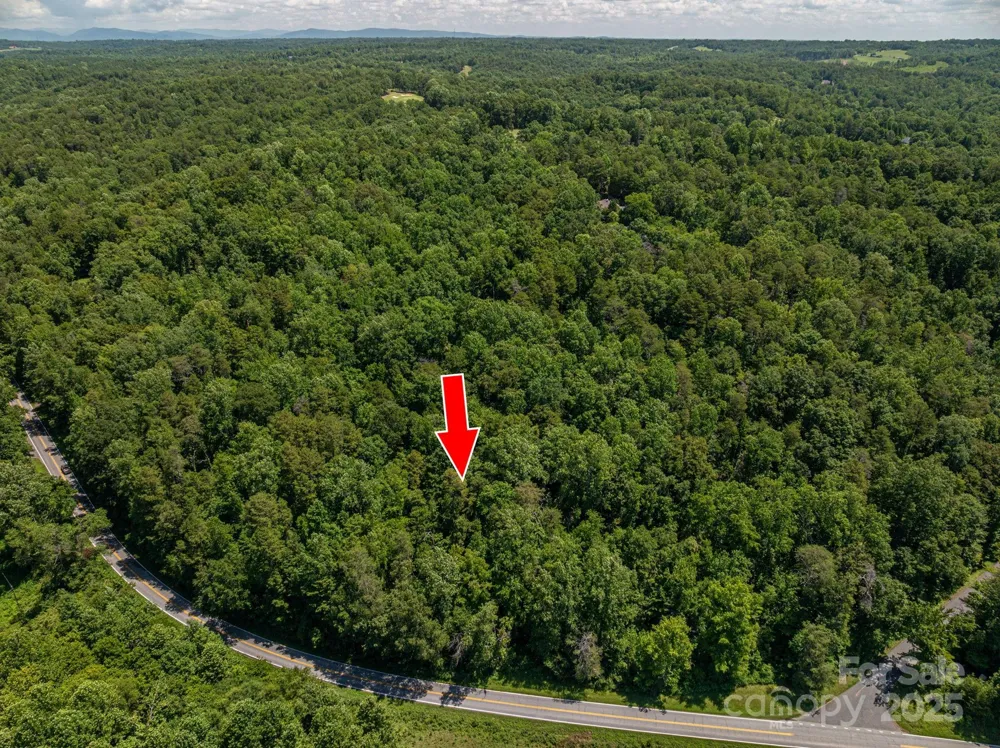 Lot 161 Coxe Road Rutherfordton, NC 28139