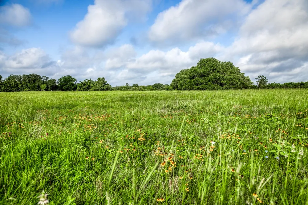 3 S Nassau Road Round Top, TX 78954