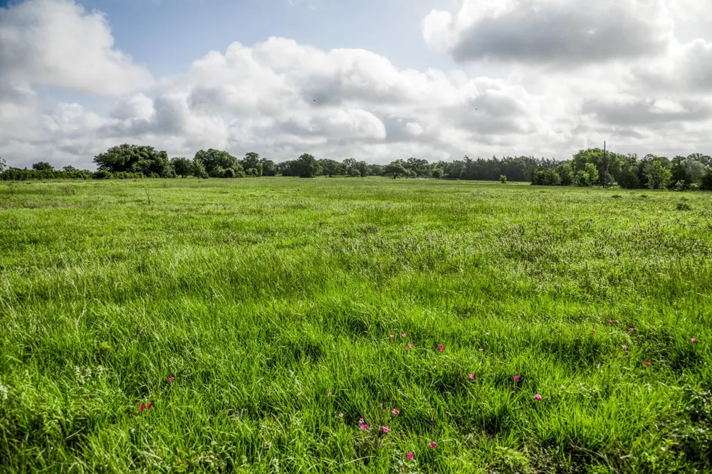 3 S Nassau Road Round Top, TX 78954