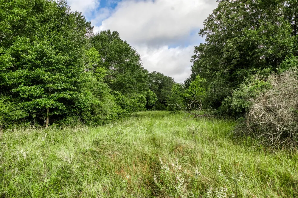3 S Nassau Road Round Top, TX 78954