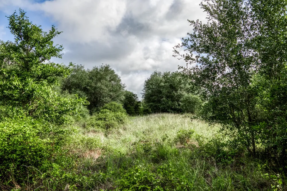 3 S Nassau Road Round Top, TX 78954