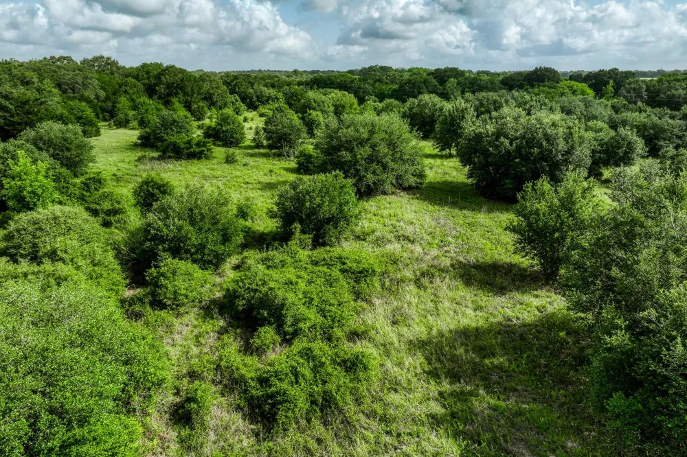 3 S Nassau Road Round Top, TX 78954