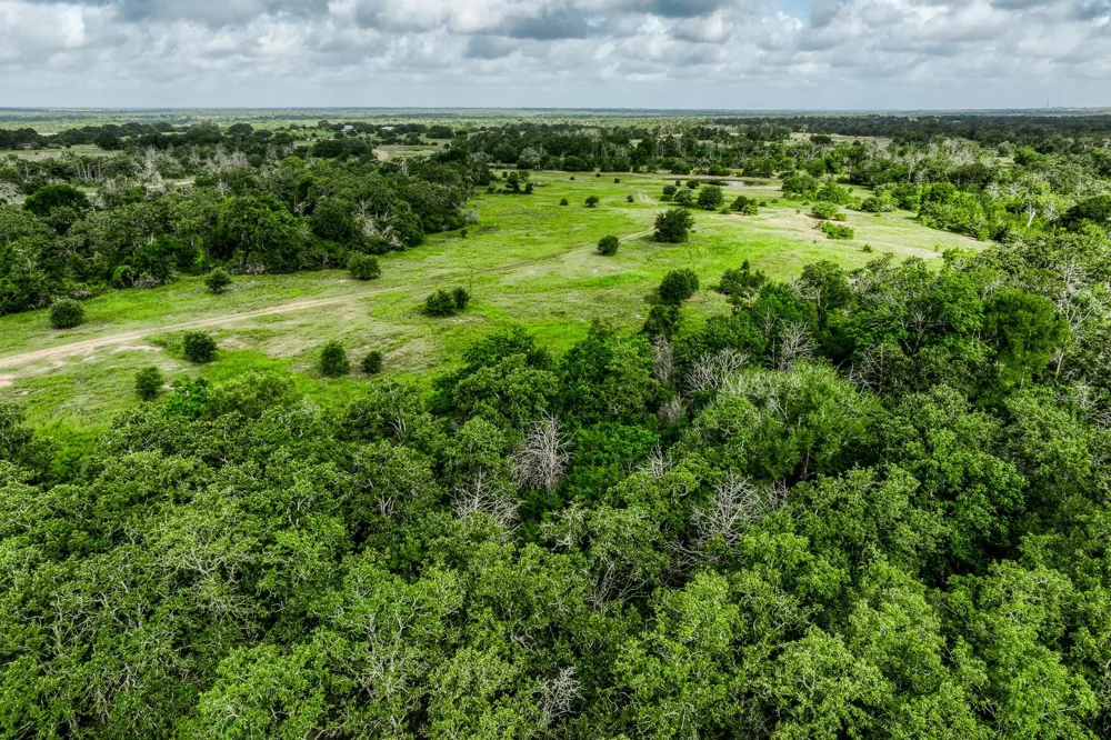 3 S Nassau Road Round Top, TX 78954