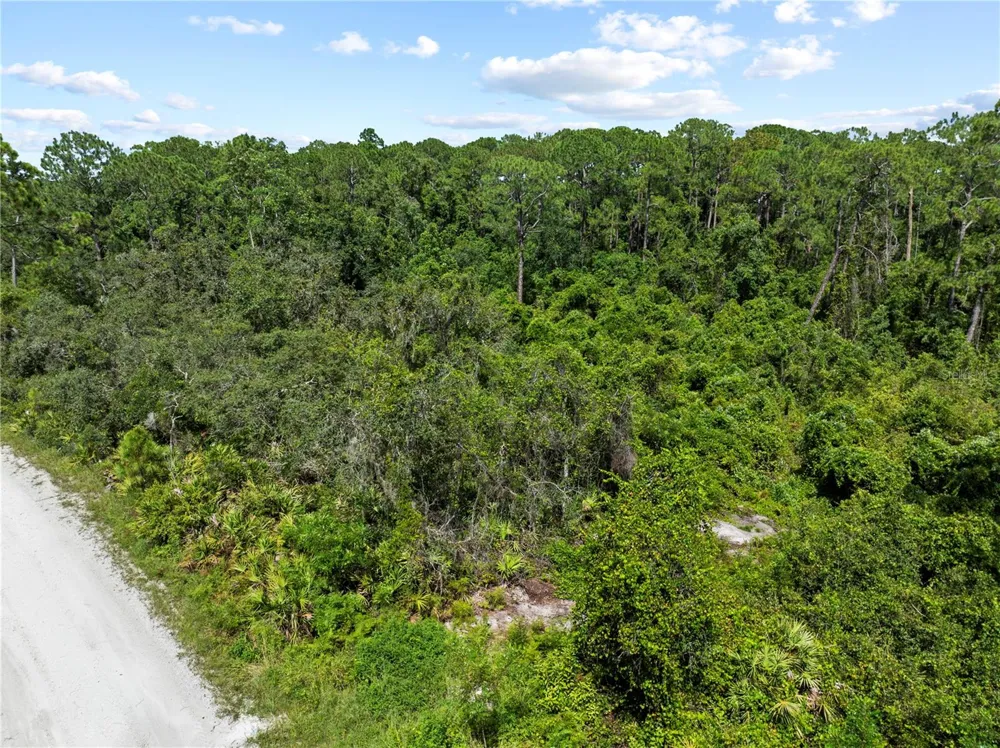 2641 BEAR RUN S Frostproof, FL 33843