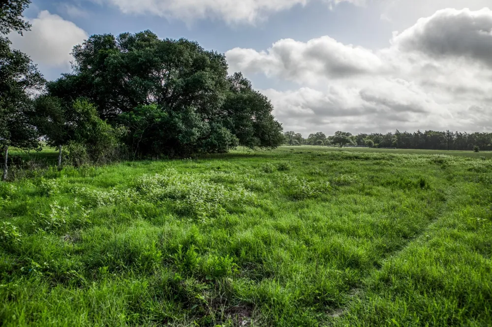 4 S Nassau Road Round Top, TX 78954