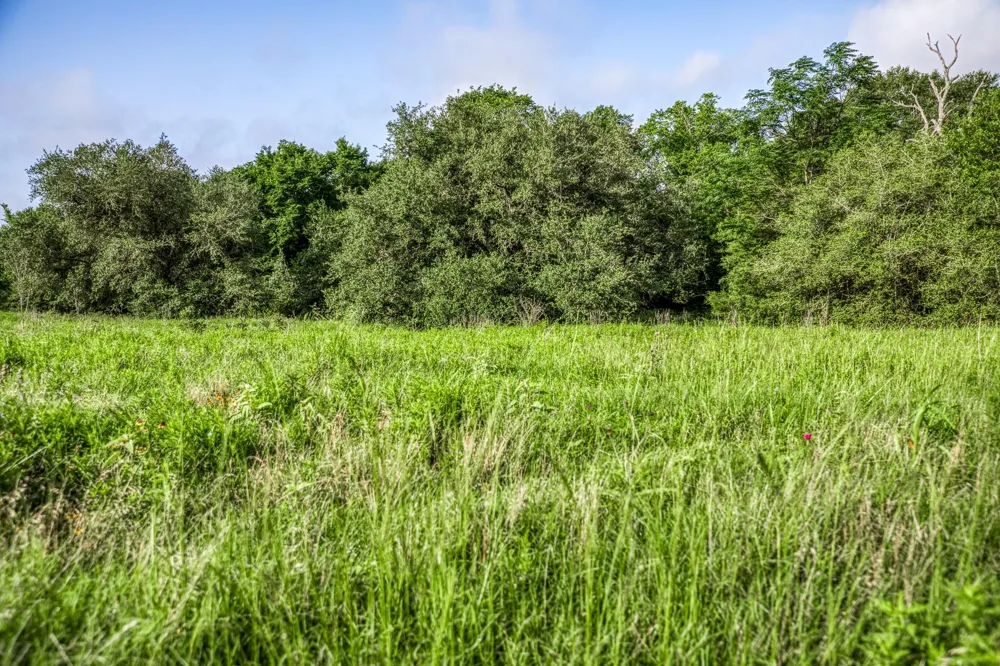 4 S Nassau Road Round Top, TX 78954