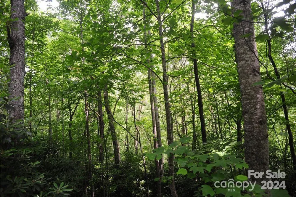 17 Wood Haven Lane #111 Black Mountain, NC 28711