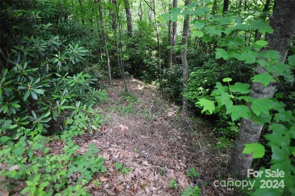 17 Wood Haven Lane #111 Black Mountain, NC 28711