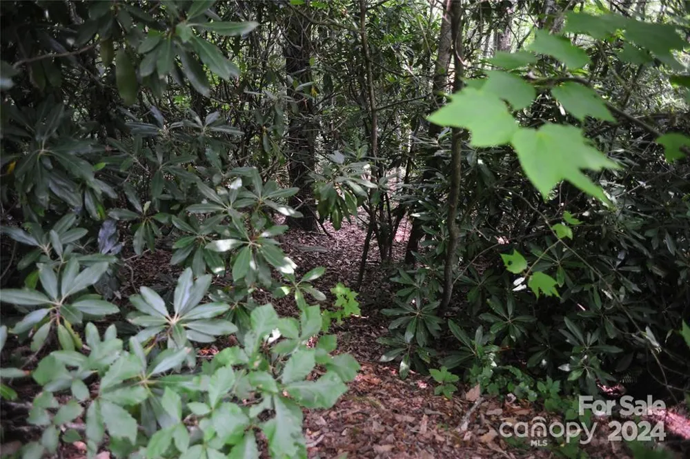 17 Wood Haven Lane #111 Black Mountain, NC 28711