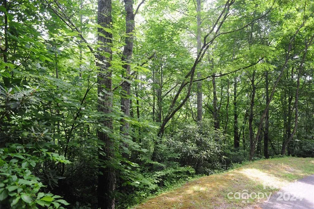 17 Wood Haven Lane #111 Black Mountain, NC 28711