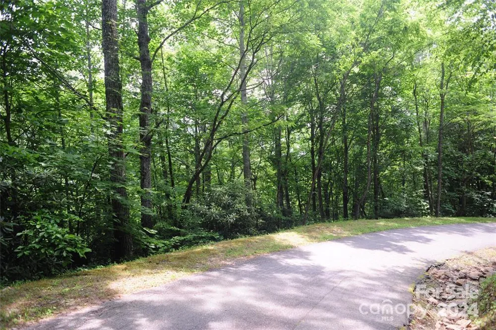 17 Wood Haven Lane #111 Black Mountain, NC 28711