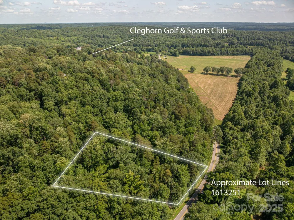 Lot 163 Coxe Road Rutherfordton, NC 28139