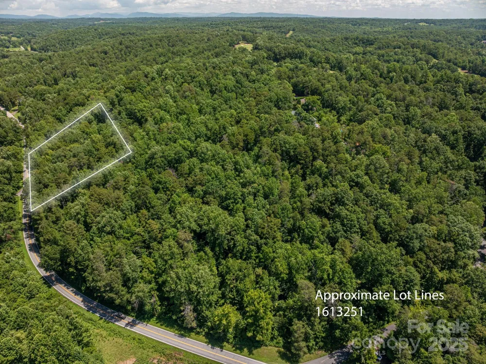 Lot 163 Coxe Road Rutherfordton, NC 28139