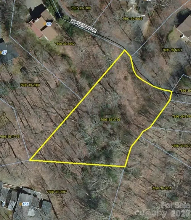 99999 Maplewood Drive Maggie Valley, NC 28751