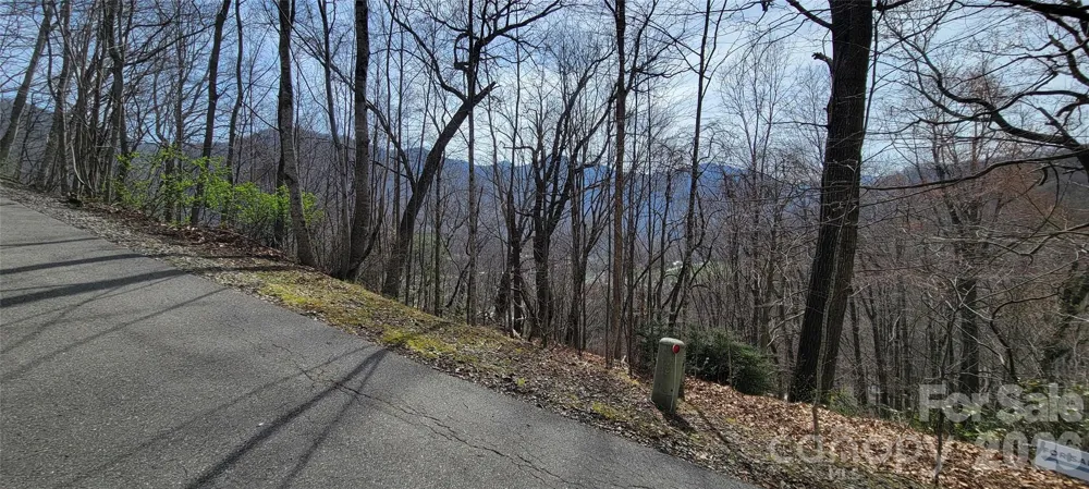 99999 Maplewood Drive Maggie Valley, NC 28751