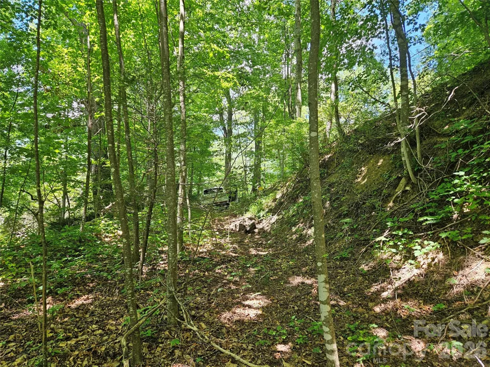 99999 Maplewood Drive Maggie Valley, NC 28751
