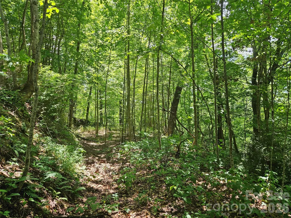 99999 Maplewood Drive Maggie Valley, NC 28751