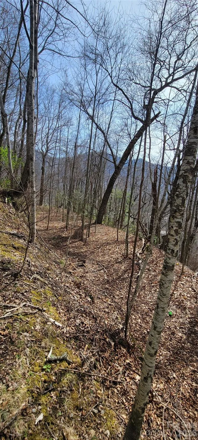 99999 Maplewood Drive Maggie Valley, NC 28751