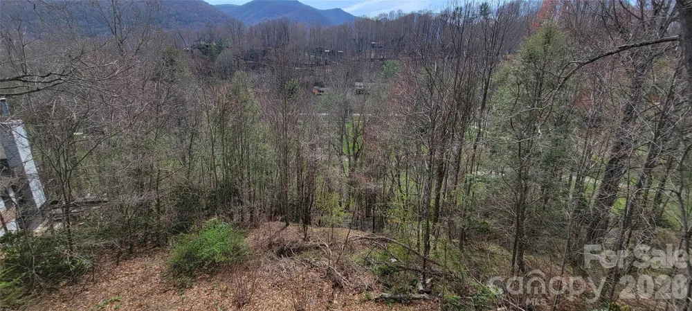 99999 Maplewood Drive Maggie Valley, NC 28751