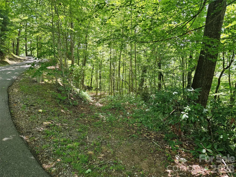 99999 Maplewood Drive Maggie Valley, NC 28751