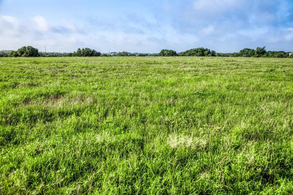 9 S Nassau Road Round Top, TX 78954