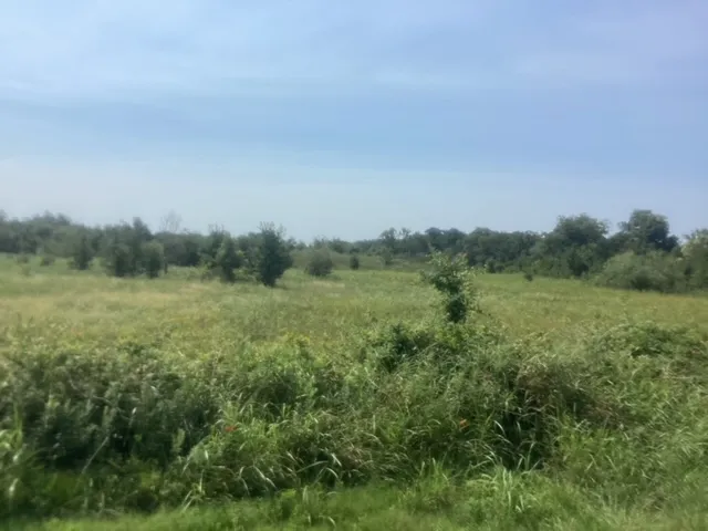 Fm 712 Marlin, TX 76661