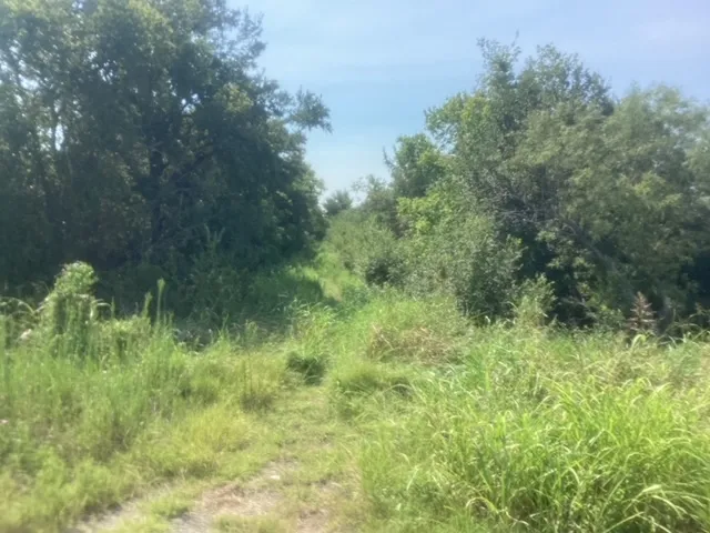 Fm 712 Marlin, TX 76661