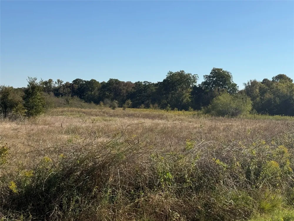 Fm 712 Marlin, TX 76661