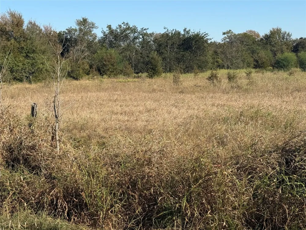 Fm 712 Marlin, TX 76661