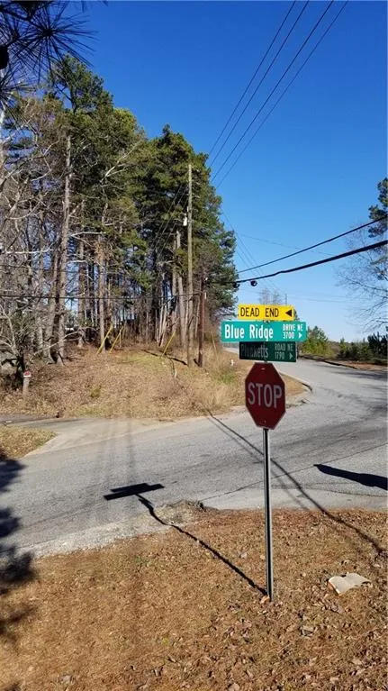 1785 Plunketts Road Buford, GA 30518
