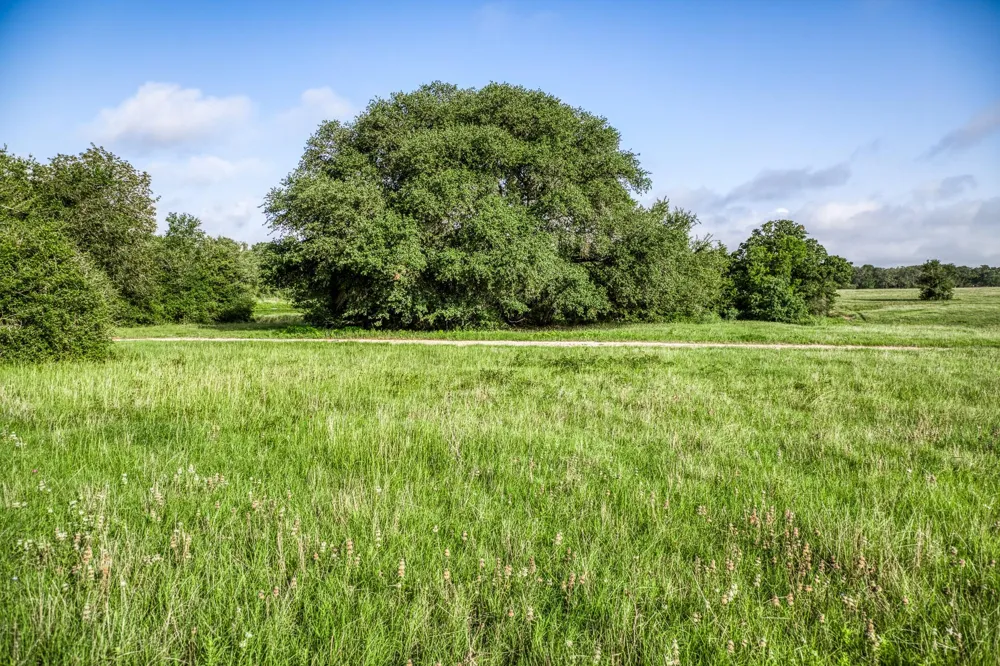 6 S Nassau Road Round Top, TX 78954