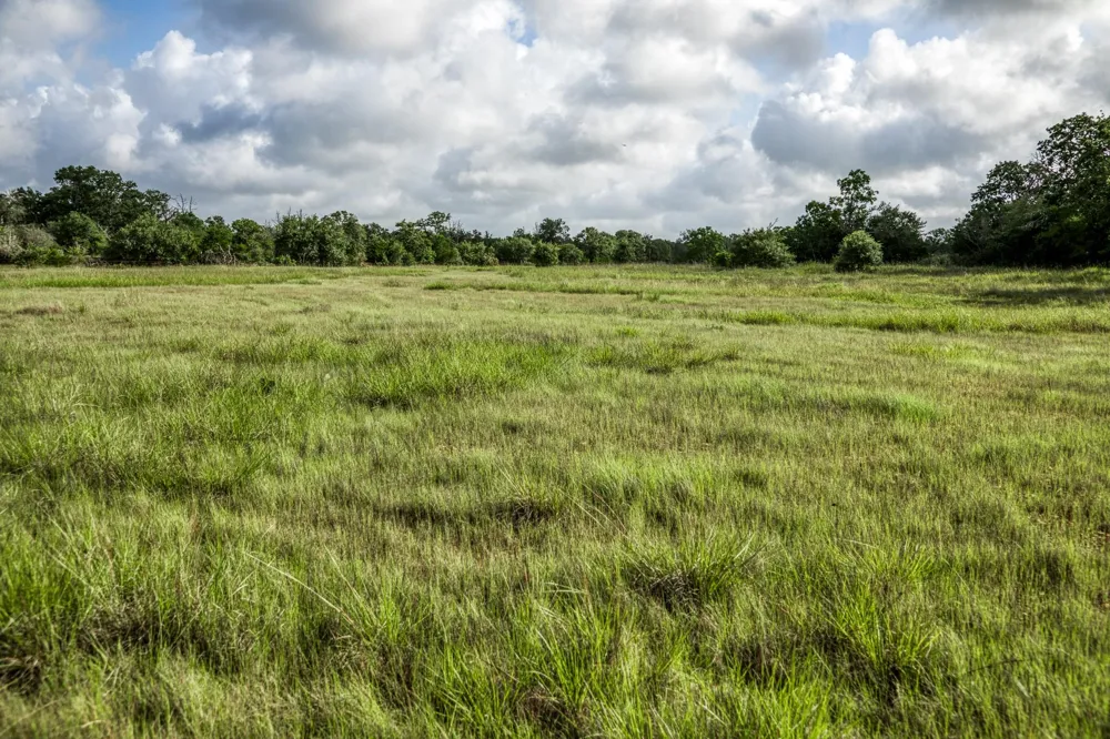 11 S Nassau Road Round Top, TX 78954