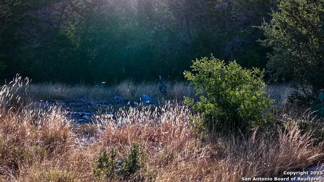 510 Pr 2535 Mico, TX 78056