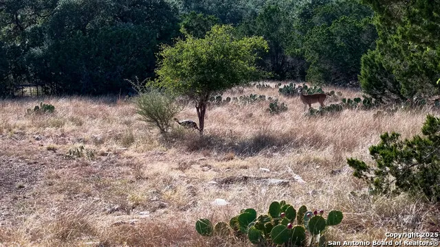 510 Pr 2535 Mico, TX 78056