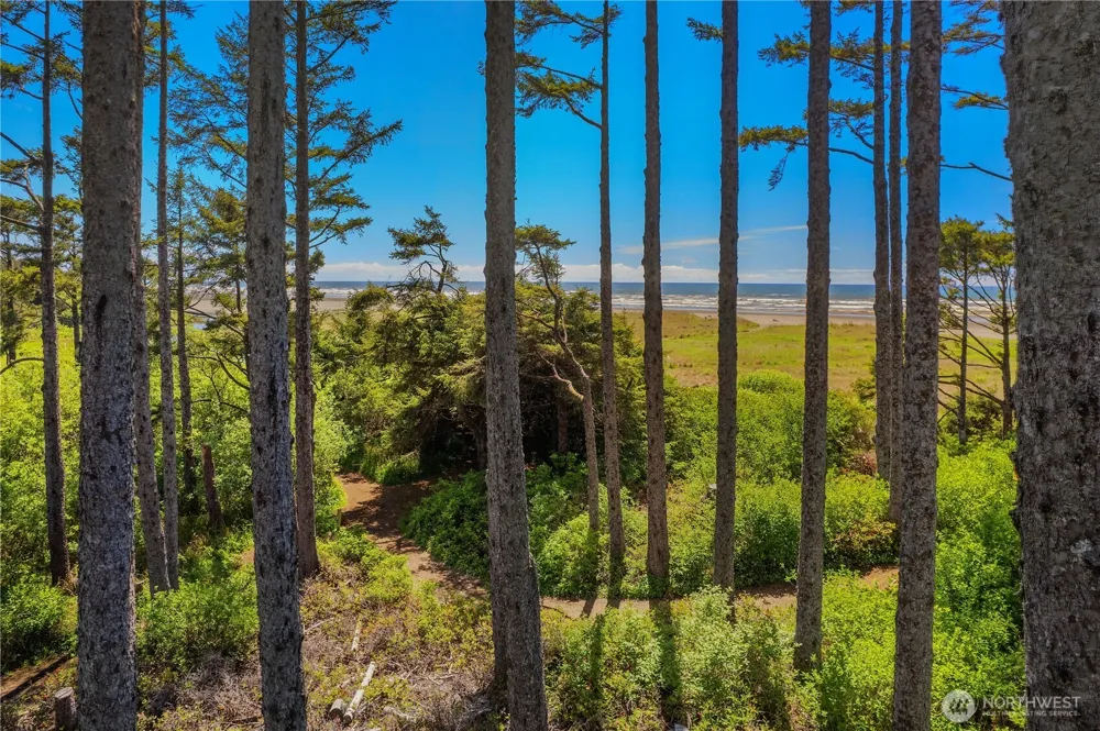 34 Seaside Lane Pacific Beach, WA 98571